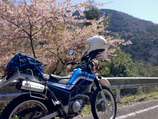 s2026-03-24DSC_2239a