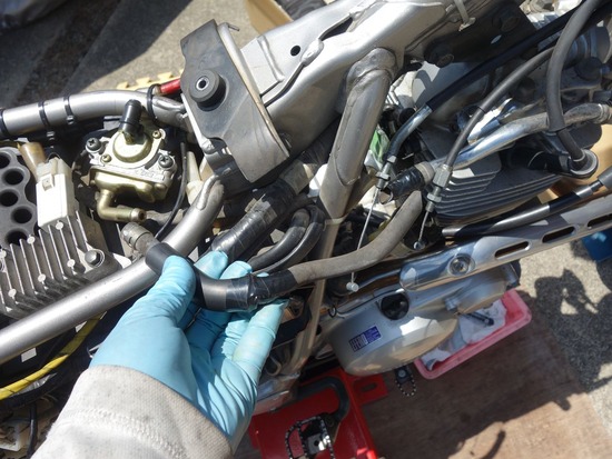 s_2025-06-05DSC02340