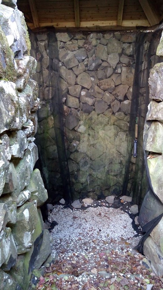 22-sp-P_20191213_130450