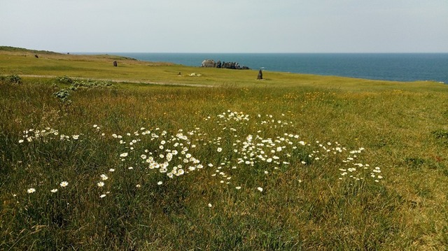 05sp-P_20190526_095822