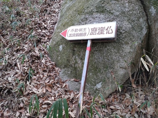 24s2023-03-09DSC_1122