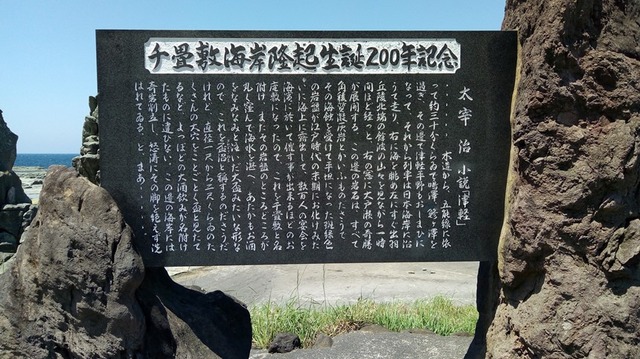 17sp-P_20190525_115816