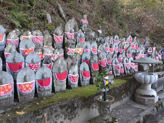 s2026-04-08DSC_2651