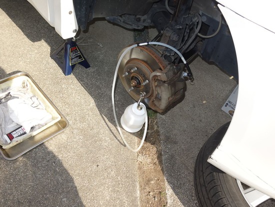 14s2024-01-29DSC00995