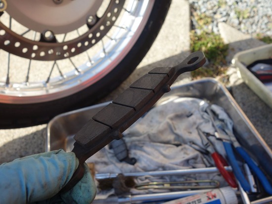 16-s2026-02-02DSC09341