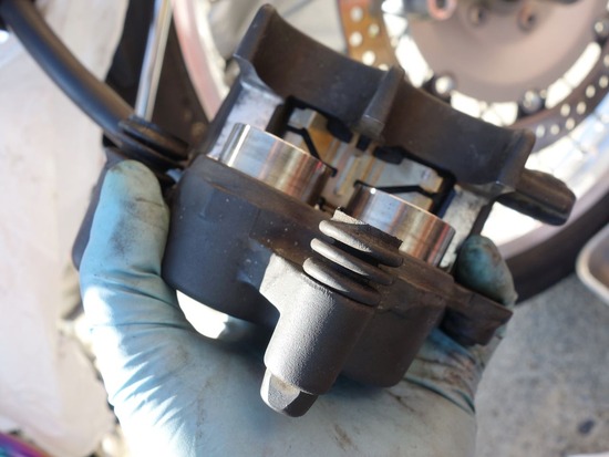 11-s2026-02-02DSC09333