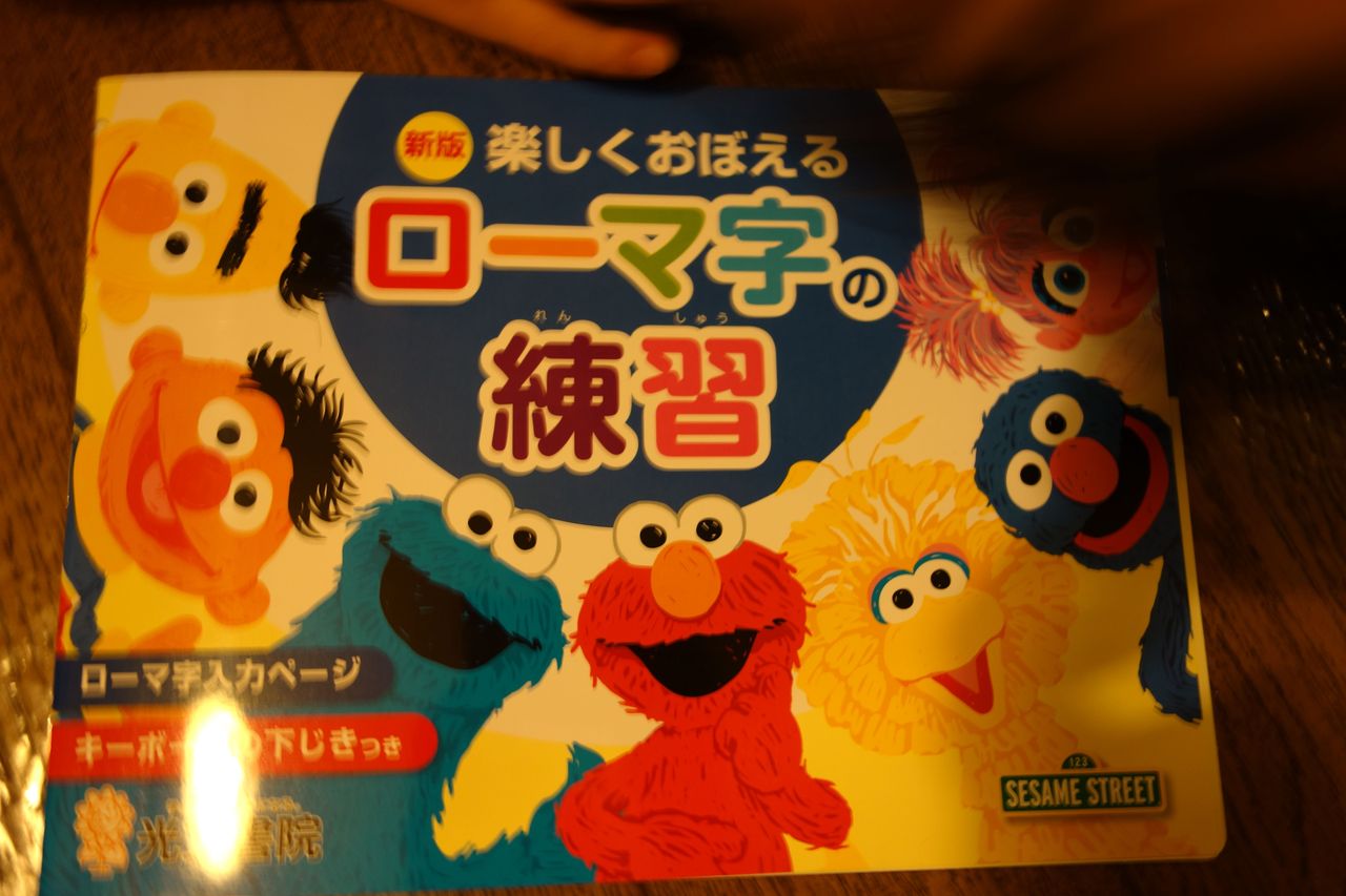 れいの鉄棒カード みちローマ字がはじまる 再びスイス 旧ローザンヌでの日常生活