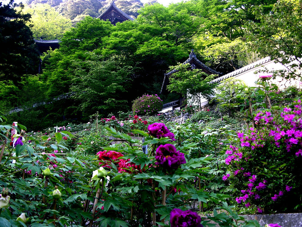 元気です ７０年代