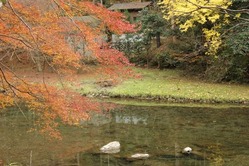 2010 takao-きよたきかわ160