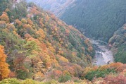 2010 aki -hozukyou258