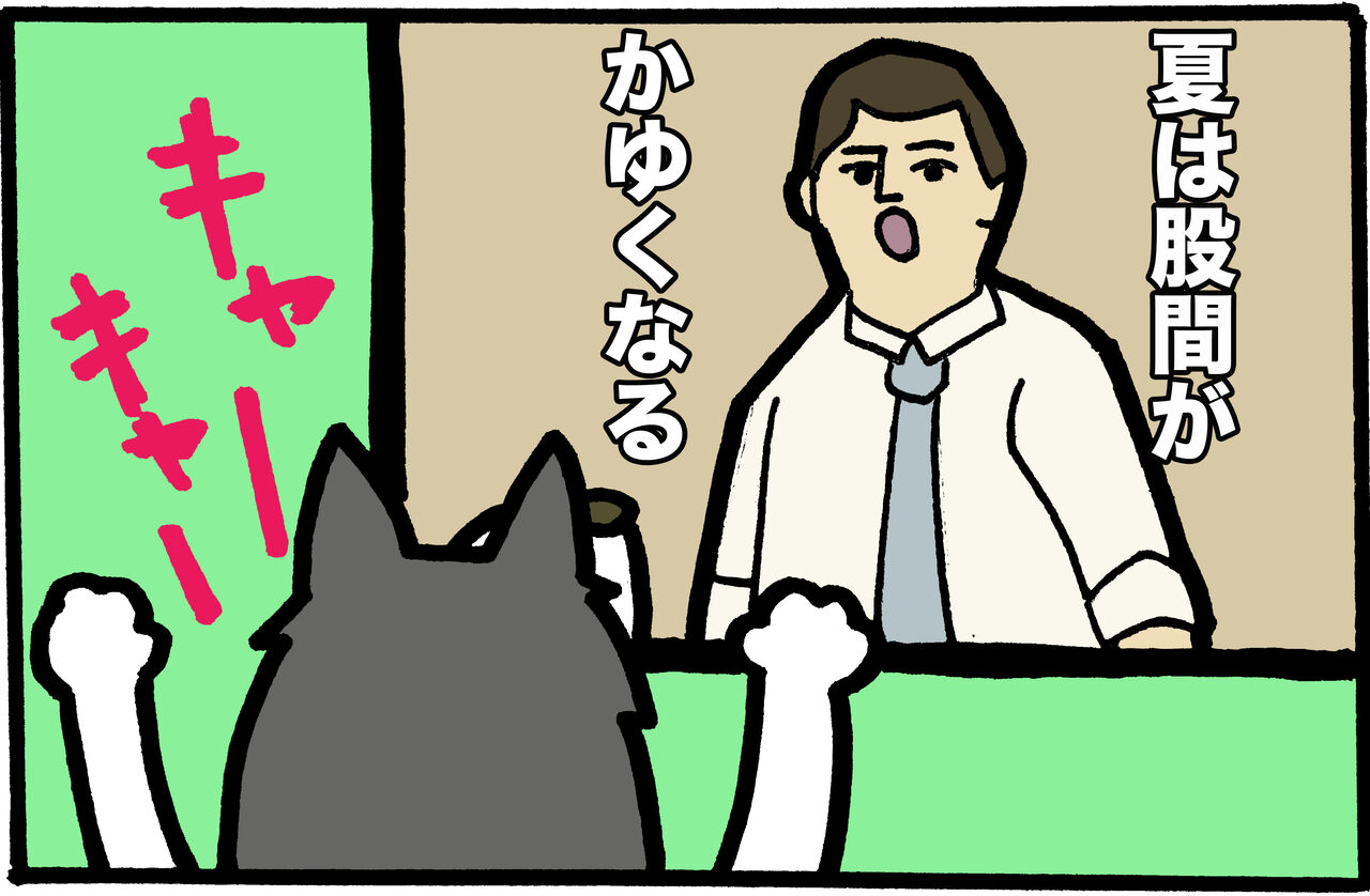 犬 厄年につき 犬 厄年につき