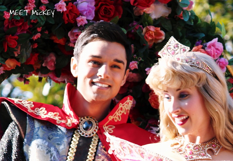 ジュビ どの王子様が好き Meet Mickey ジュビ どの王子様が好き Meet Mickey
