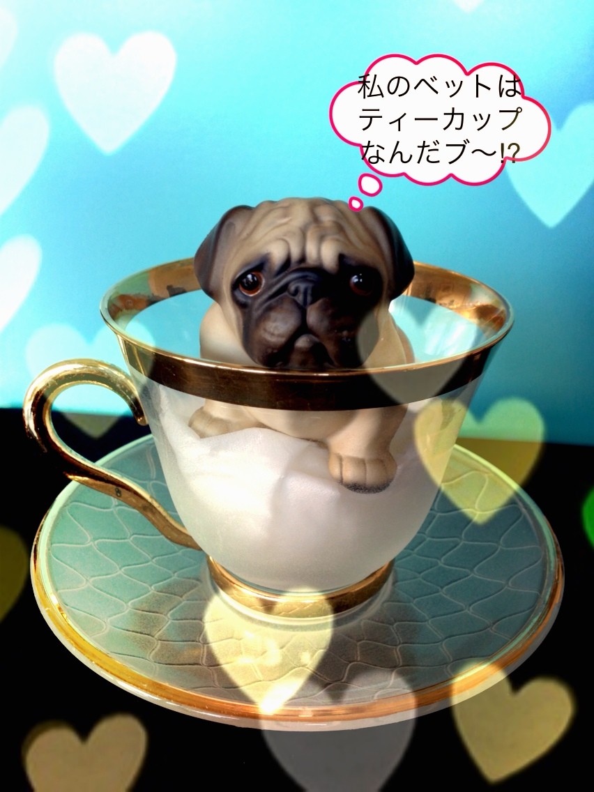 ティーカップパグなんだブ パグ犬さくら