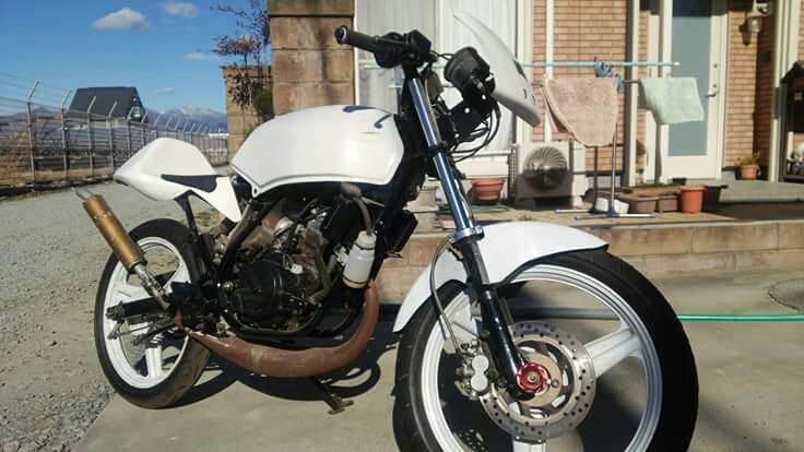 cfj76620nobu33-img736x414-1515919608htp0u67604