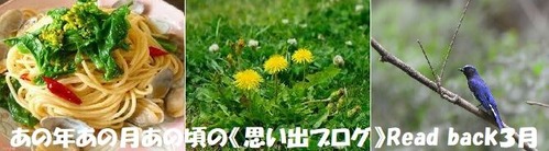 思い出ブログ3月