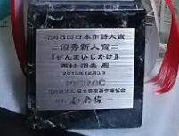 プロ画像