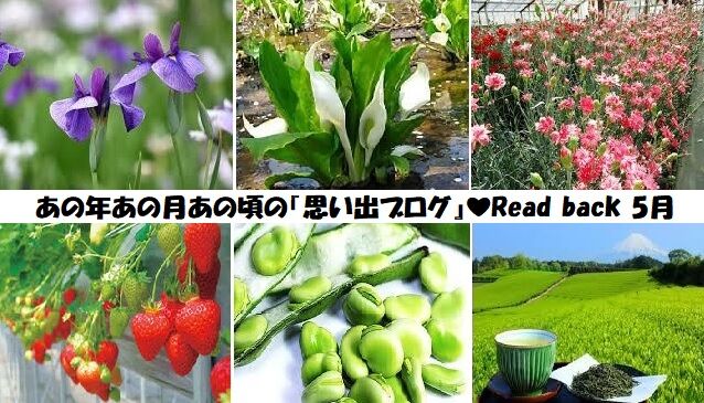 ★いつも心に詞(うた)を置いて！★あの歌手あのartistに【Virtual書き下ろ詞】                        🎼いつも心に詞(うた)を置いて！ 　✍Myブログ　12年目！