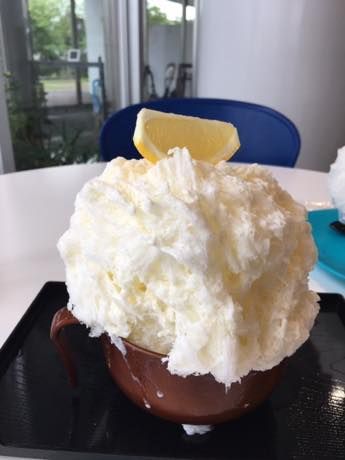 仰せの通りに みーこのキヅ便り 仰せの通りに みーこのキヅ便り