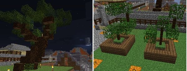 植物を作る 松編 マイクライズム