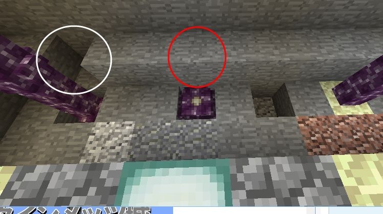 コーラスフラワーパークへようこそ 村lv 074 18 01 24 マイクライズム