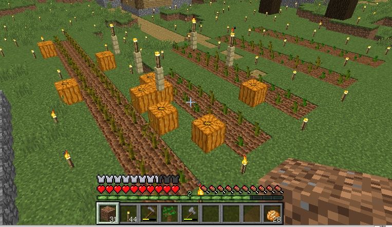 作者近影 何は無くともカボチャだべ 17 09 07 マイクライズム