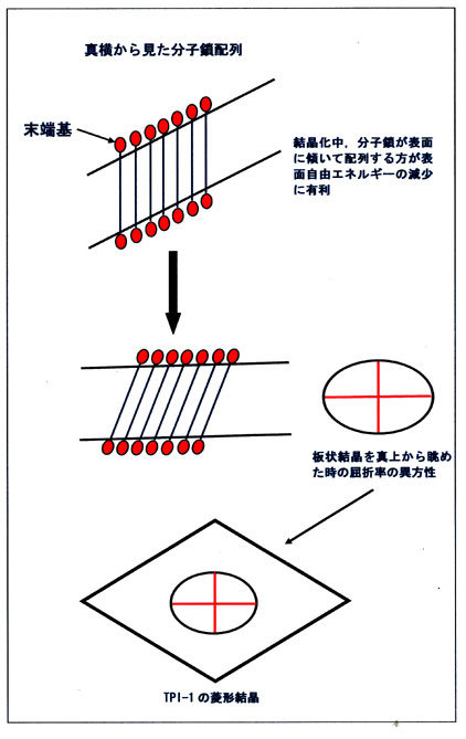 055 熱可塑性ポリイミドの構造 ９ 結晶の厚さ程度の分子鎖長の熱可塑性ポリイミドが形成する結晶 高分子 ミクロの世界