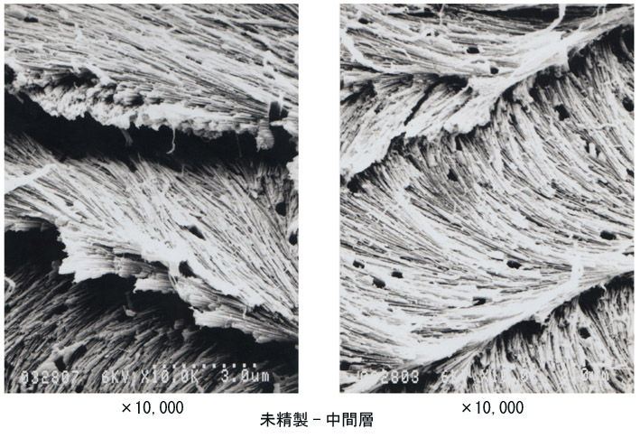 09年03月17日 高分子 ミクロの世界