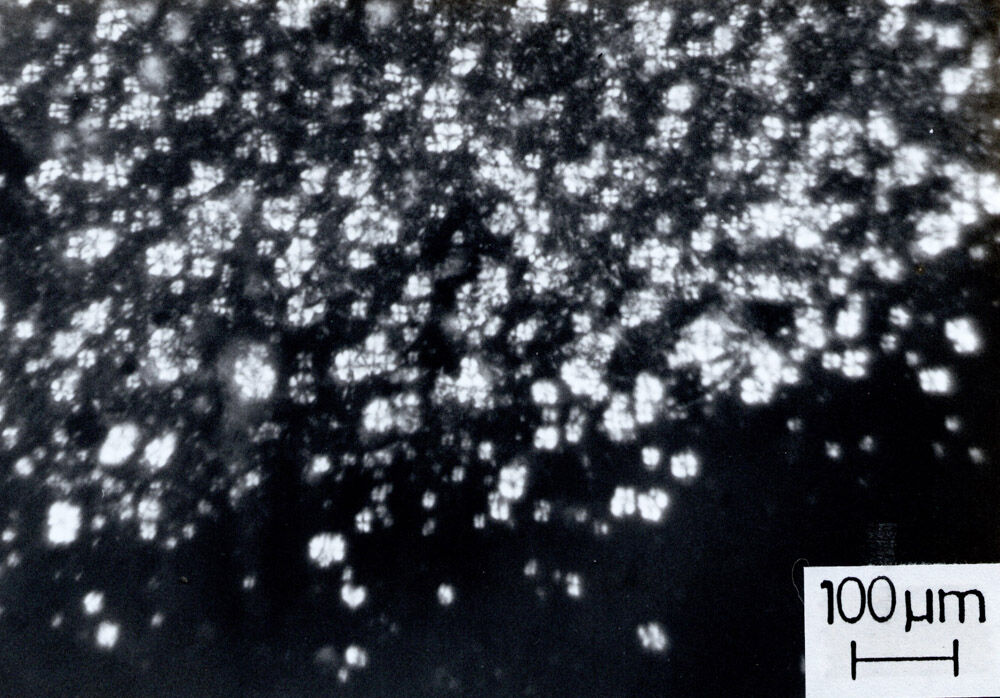 2181 ポリエチレンオキサイドの末端基が分子鎖凝集状態に与える効果 19 両末端コレステロール基のpeo 8 偏光顕微鏡測定 高分子 ミクロの世界