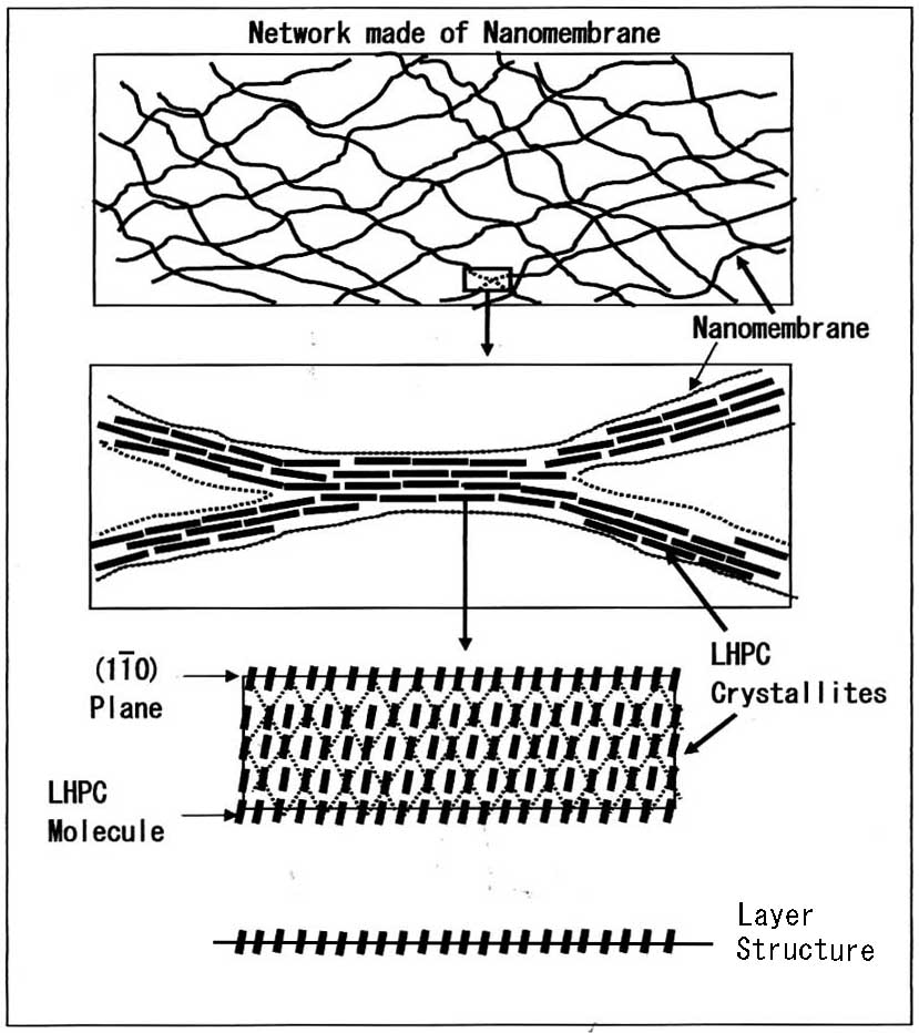 [245] 低置換度ヒドロキシプロピルセルロースの再生膜･繊維の構造と性質（29）ゲル化の機構 高分子ミクロの世界