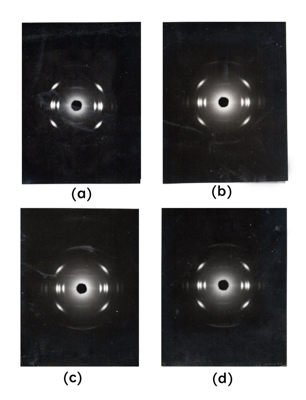 [2364] 強力X線源を用いた小角X線散乱装置による高分子構造の研究 310．HEPPの応力緩和（11）分子鎖軸の配向性 高分子ミクロの世界