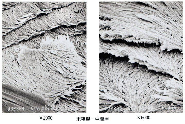 09年03月17日 高分子 ミクロの世界
