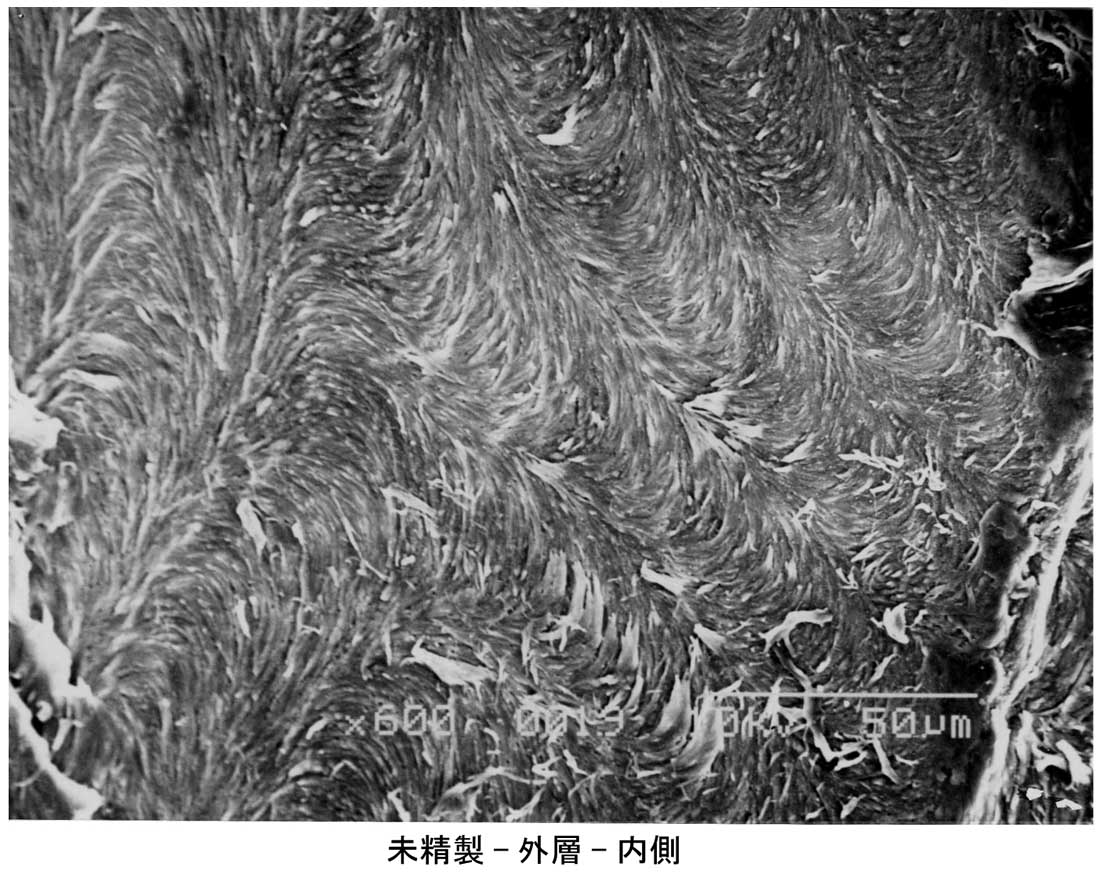 09年03月23日 高分子 ミクロの世界