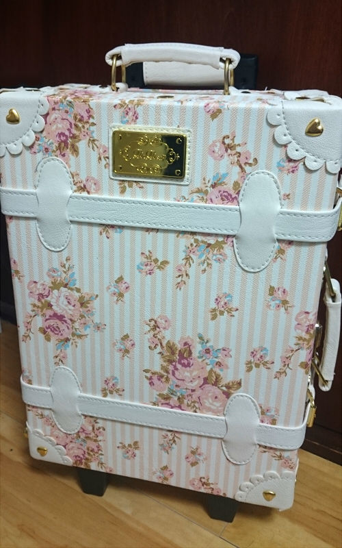 15年 Liz Lisa リズリサ 福袋 中身ネタバレ コロコロストライプキャリー円 画像あり 忙しいけど気になるあの商品を試してみたい