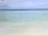 060319_sea1