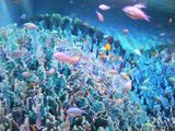 060104_sea