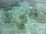 060319_sea2