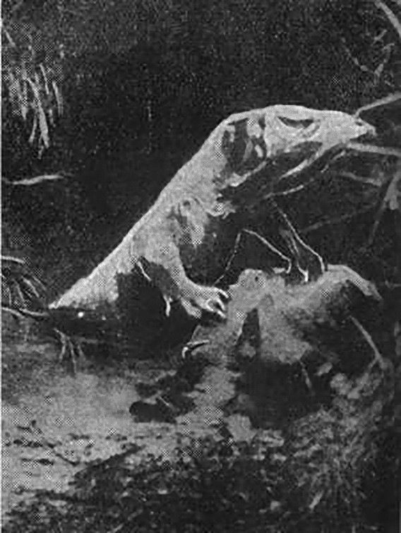 画像 Umaってなんかワクワクするよなwww 深夜の不思議ちゃんねる 画像 Umaってなんかワクワクするよなwww 深夜の不思議ちゃんねる