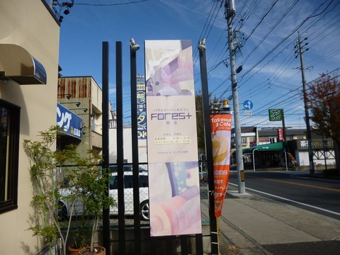 P1040537