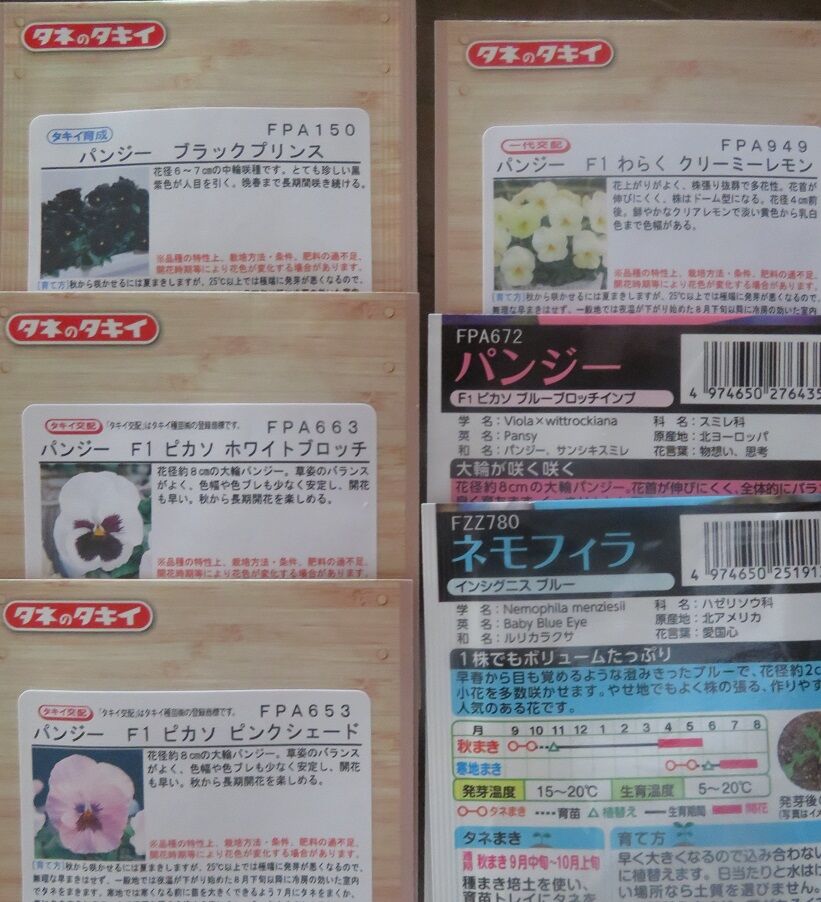 そろそろパンジーの種まき 空色ガーデン