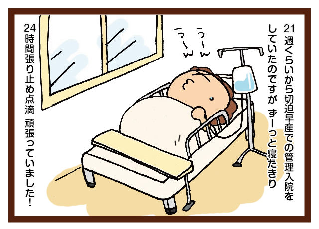 三つ子と妊婦時代 みつご日和