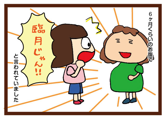 三つ子と妊婦時代 みつご日和 三つ子と妊婦時代 みつご日和