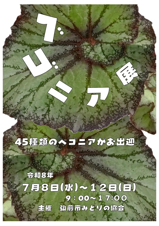 �٥��˥�Ÿ(��ư�����Ѥ�)