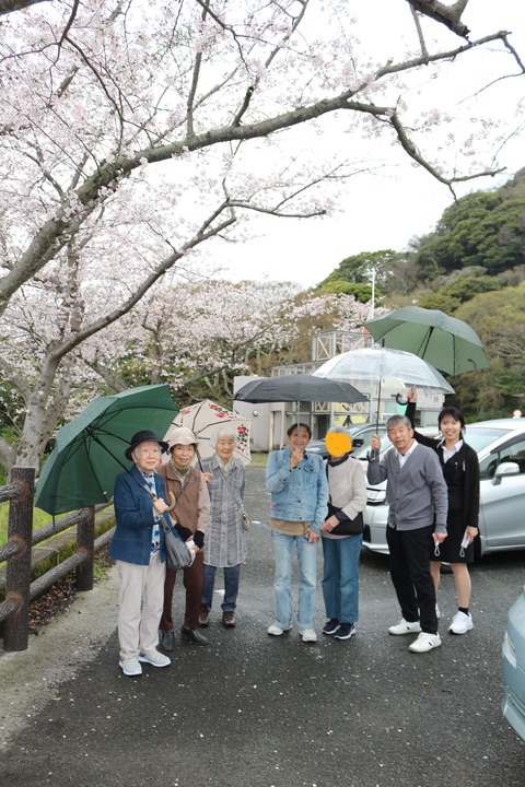 花見