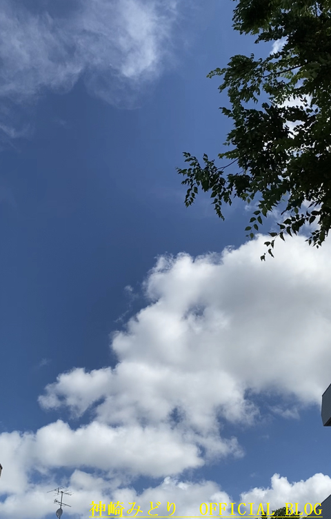 9 ⑲