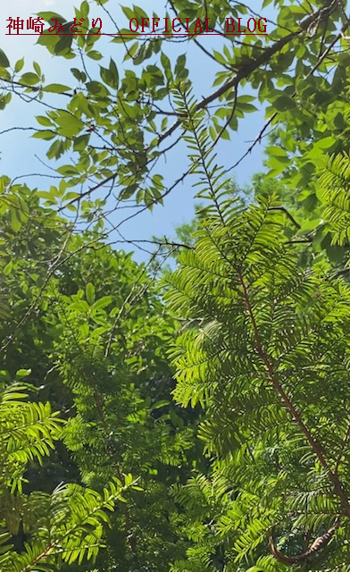 夏