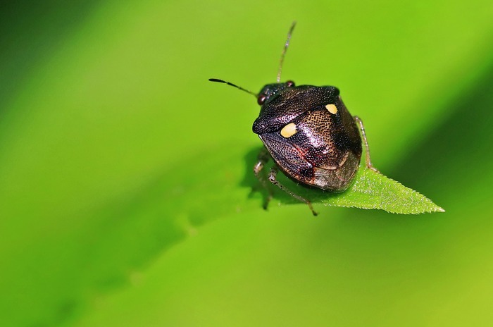 75407c02-s.jpg