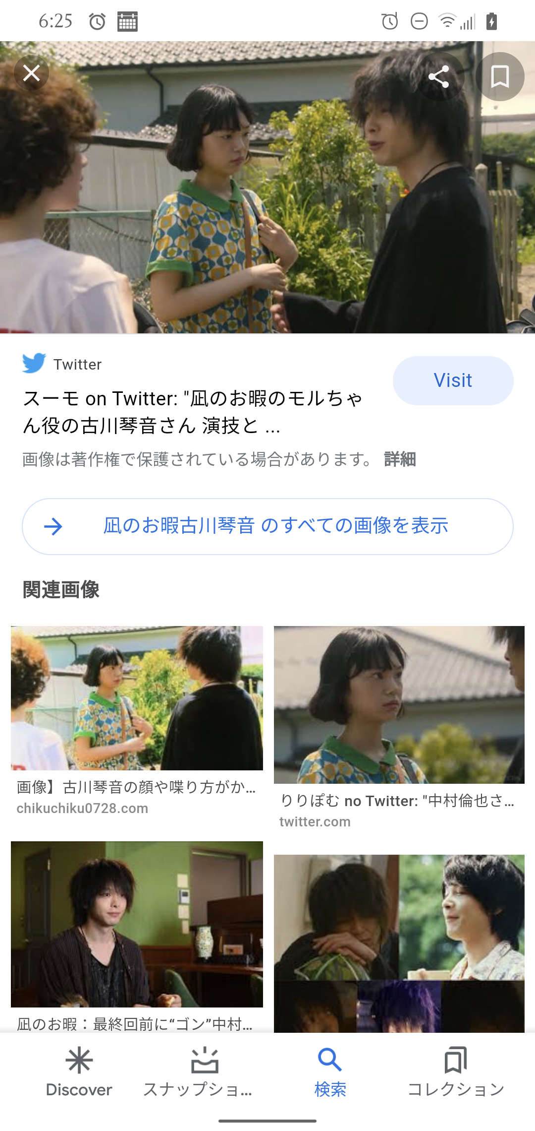 春 観てきました 昼というより夜