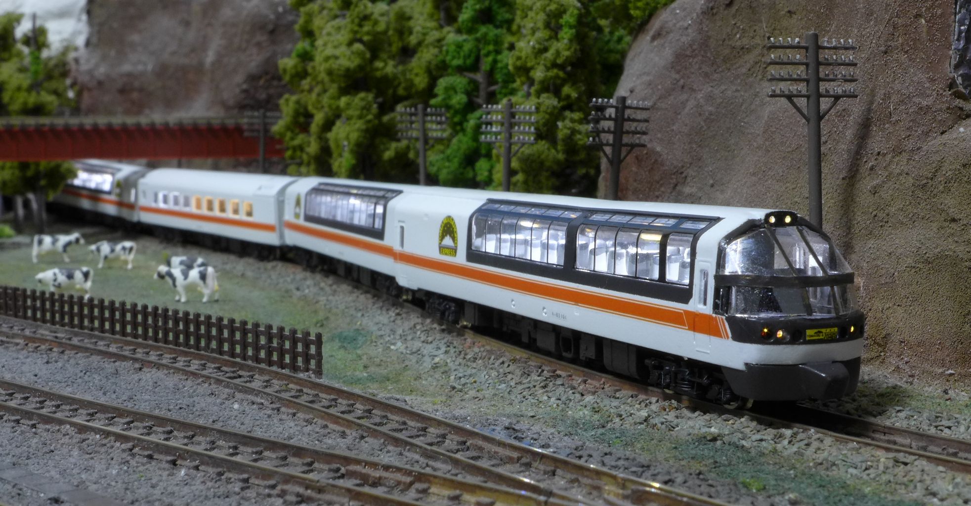 トマムサホロエクスプレス(タイプ) 入線 : 全線完乗記録と北海道鉄道模型