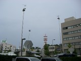 2db169f0.JPG