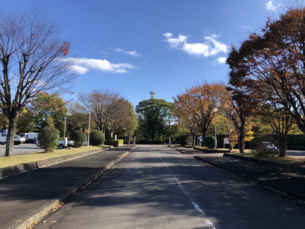 津市大谷町